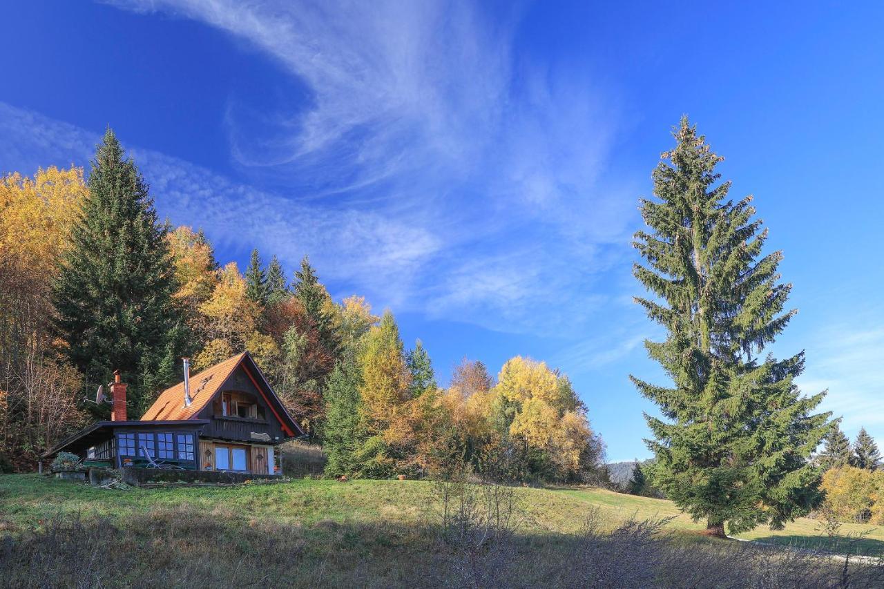Fairytale Cottage - Peaceful Getaway Near Bled Zgornje Gorje Exterior photo